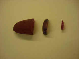 Astro 07-10 (60).jpg (612685 bytes)