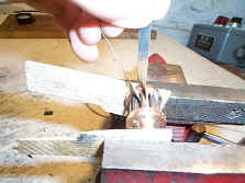 Dcp00529.jpg (125268 bytes)