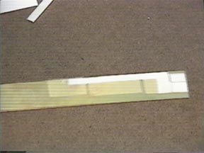 webrep917.jpg (10141 bytes)