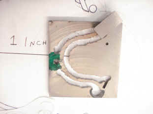 Astro 08-09 (2).jpg (129965 bytes)