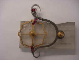 Astro 08-09 (5).jpg (113221 bytes)