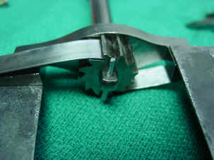 DSC04981.JPG (586613 bytes)